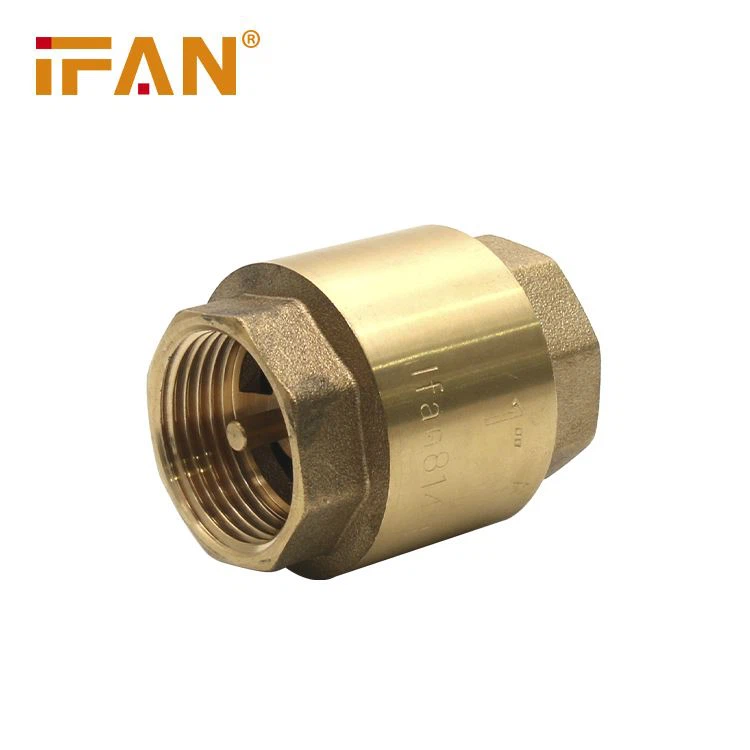 check valve